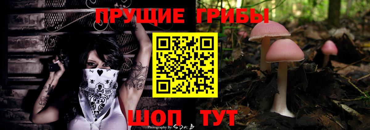 Галлюциногенные грибы мицелий  Вход с VPN  Чебаркуль 